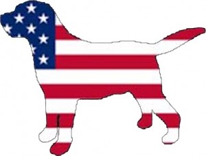 flag dog