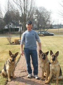 three dogs with the dog trainer