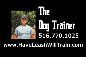 dog trainer phone number